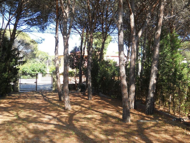 photo 24 Owner direct vacation rental Posada appartement Sardinia Nuoro Province Garden