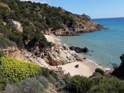 Sardinia holiday rentals: villa no. 114837