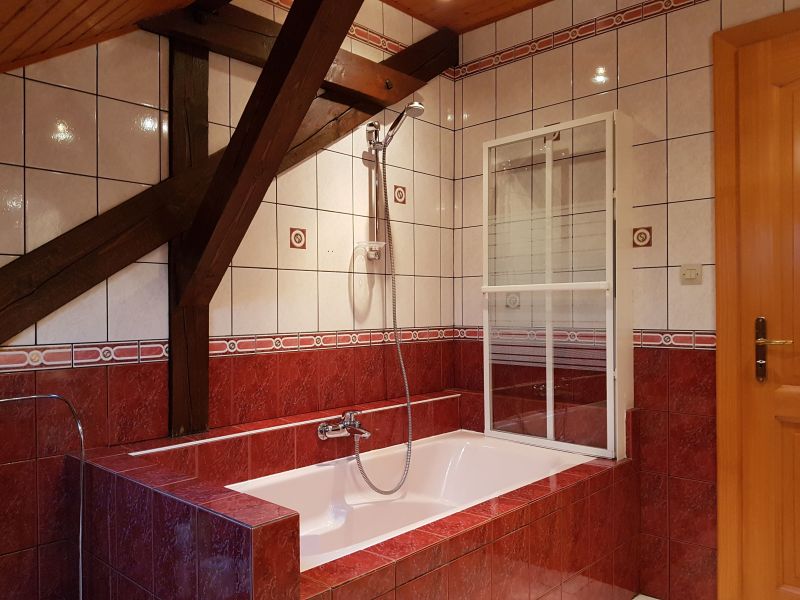photo 12 Owner direct vacation rental Slestat gite Alsace Bas-Rhin Washing facilities