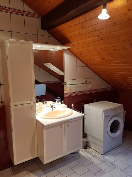 photo 13 Owner direct vacation rental Slestat gite Alsace Bas-Rhin Washing facilities