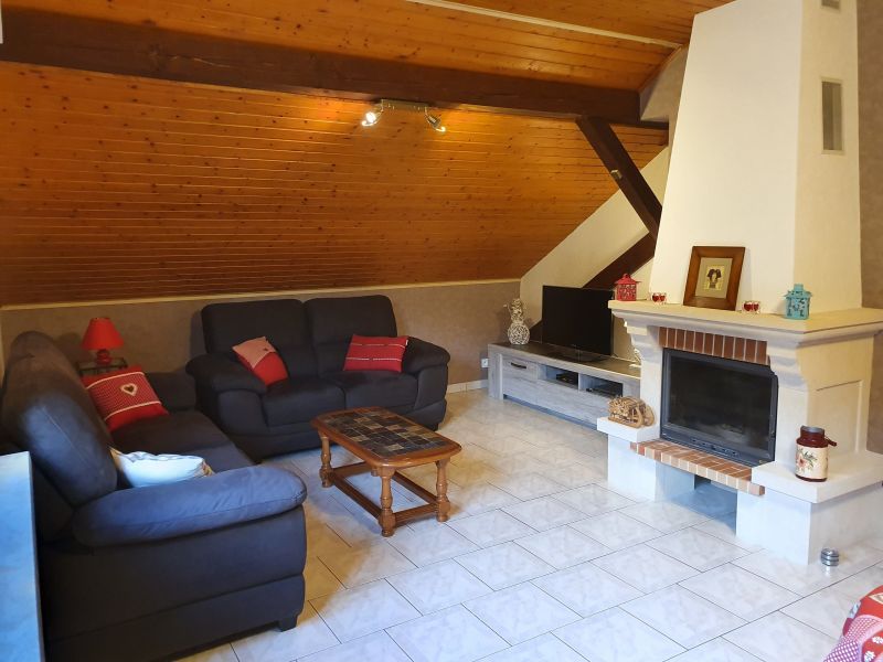 photo 5 Owner direct vacation rental Slestat gite Alsace Bas-Rhin Sitting room