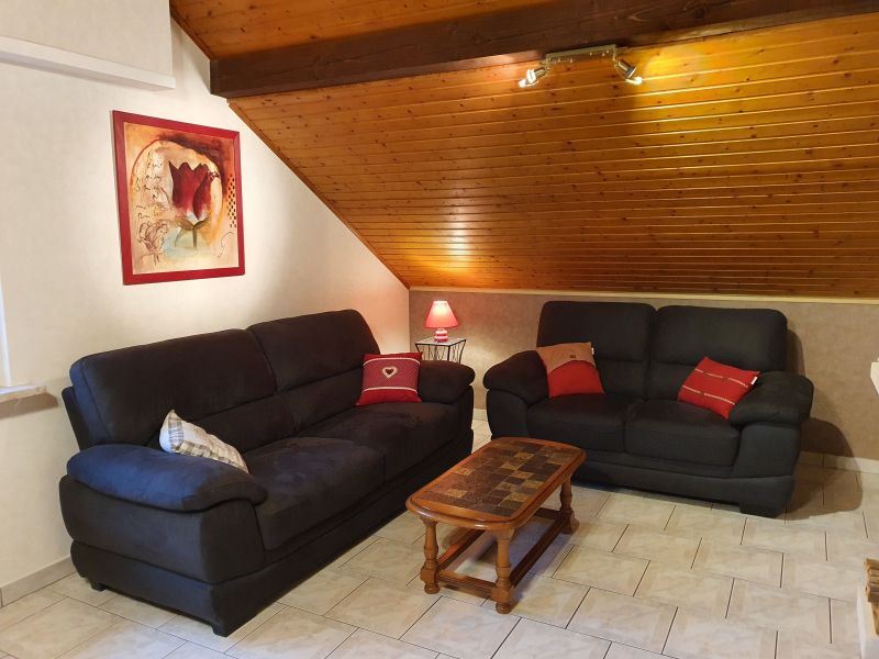 photo 4 Owner direct vacation rental Slestat gite Alsace Bas-Rhin Sitting room