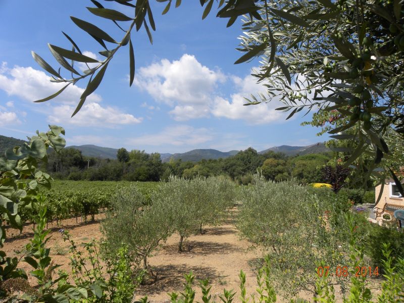 photo 12 Owner direct vacation rental Grimaud studio Provence-Alpes-Cte d'Azur Var Outside view