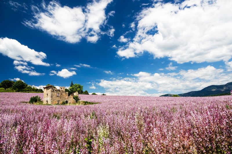 photo 21 Owner direct vacation rental Allemagne en Provence maison Provence-Alpes-Cte d'Azur Alpes de Haute-Provence Surroundings
