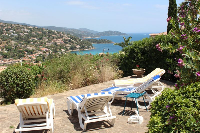 photo 12 Owner direct vacation rental Le Lavandou villa Provence-Alpes-Cte d'Azur Var