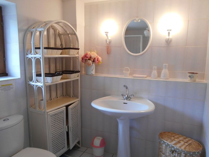 photo 10 Owner direct vacation rental Bramevaque gite Midi-Pyrnes Hautes-Pyrnes bathroom 1