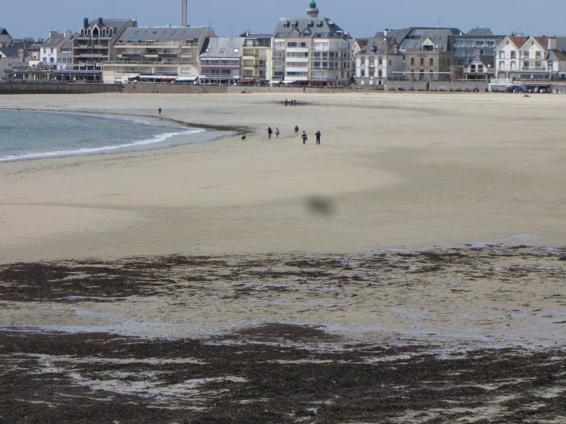 photo 11 Owner direct vacation rental Quiberon appartement Brittany  Beach