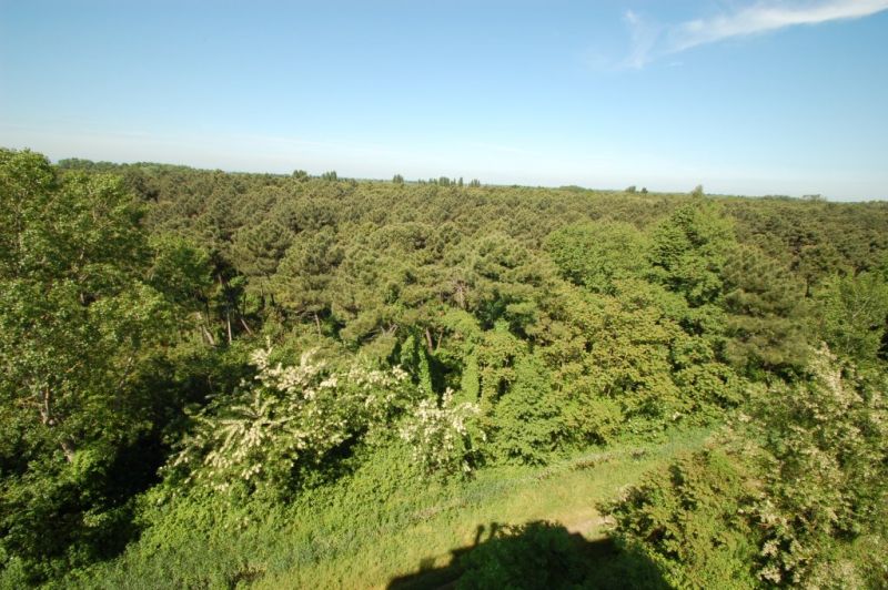 photo 1 Owner direct vacation rental Milano Marittima appartement Emilia-Romagna Ravenna Province View from terrace