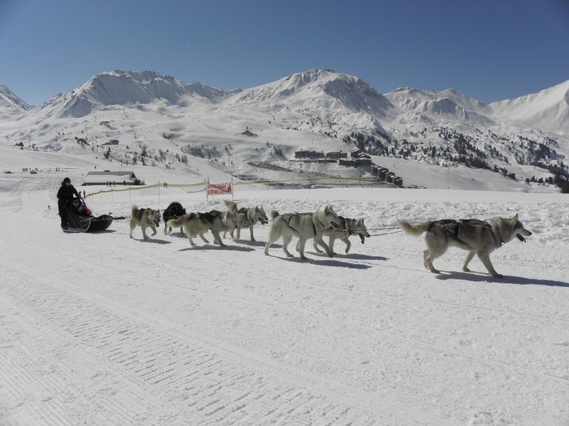 photo 24 Owner direct vacation rental La Plagne appartement Rhone-Alps Savoie Surroundings