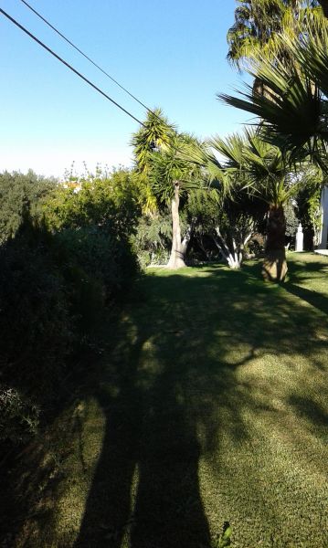 photo 3 Owner direct vacation rental Almancil appartement Algarve  Garden