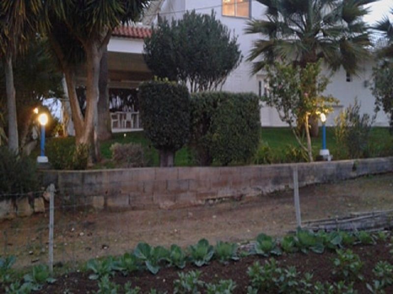 photo 10 Owner direct vacation rental Almancil appartement Algarve  Garden