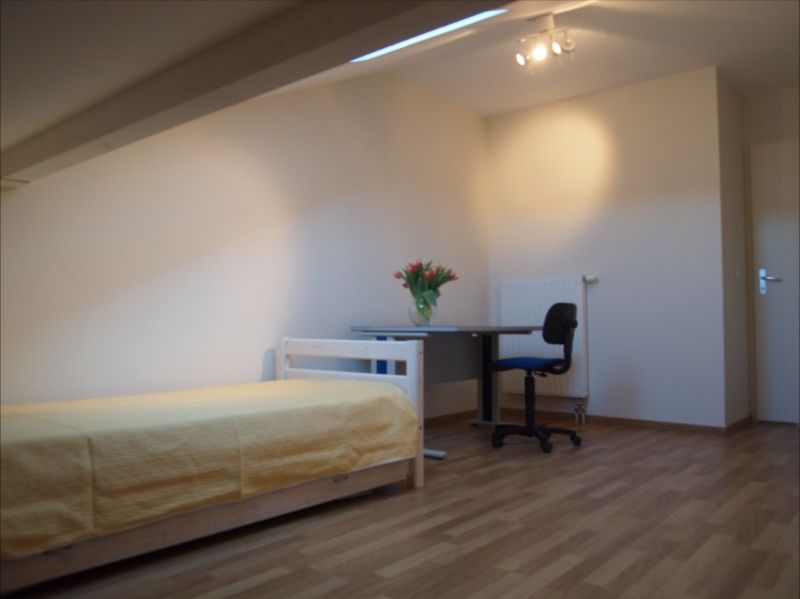 photo 8 Owner direct vacation rental Thonon Les Bains appartement Rhone-Alps Haute-Savoie bedroom 2