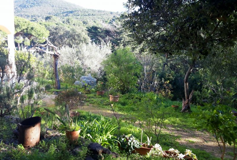 photo 27 Owner direct vacation rental Le Pradet maison Provence-Alpes-Cte d'Azur Var Garden