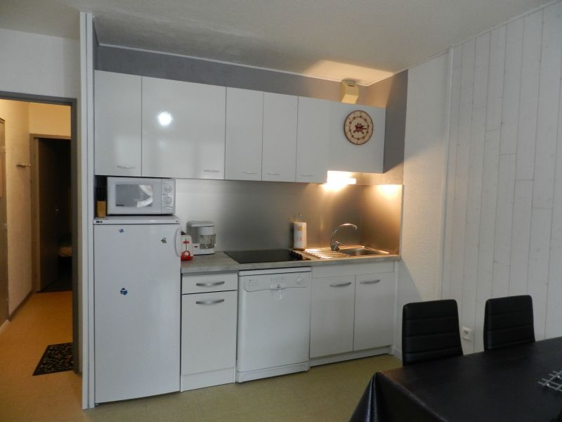 photo 1 Owner direct vacation rental Le Lioran appartement Auvergne Cantal Open-plan kitchen