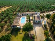 Sicily swimming pool holiday rentals: villa no. 123590