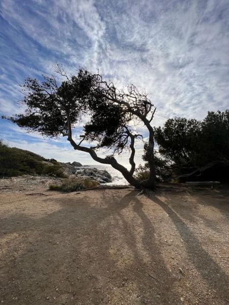 photo 27 Owner direct vacation rental Cassis studio Provence-Alpes-Cte d'Azur Bouches du Rhne