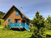 Northern Alps swimming pool holiday rentals: chalet no. 65968