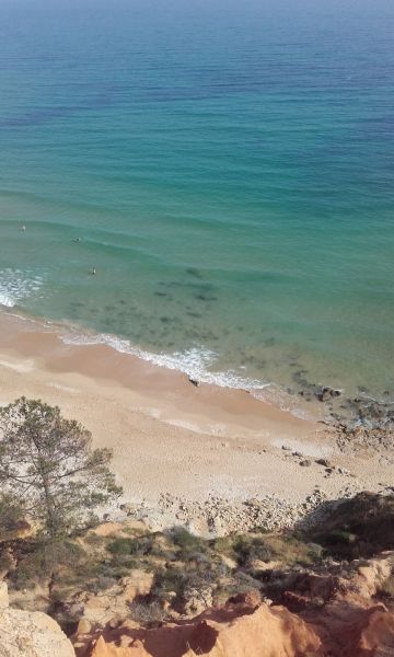 photo 17 Owner direct vacation rental Olhos de Agua appartement Algarve  Beach