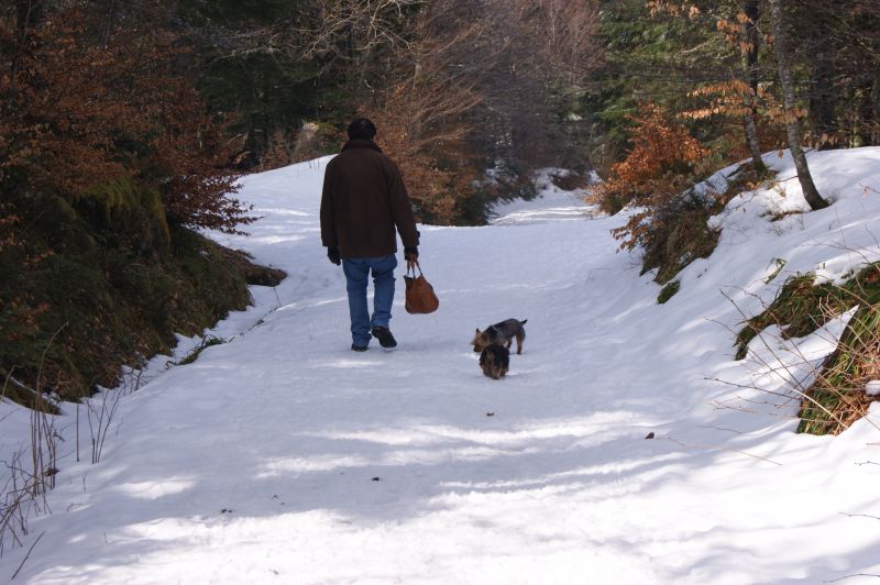 photo 14 Owner direct vacation rental Le Mont Dore appartement Auvergne Puy-de-Dme Surroundings