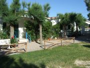 Foggia Province holiday rentals apartments: appartement no. 89546