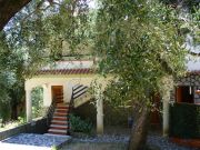 Campania holiday rentals: appartement no. 89629