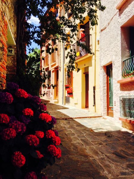 photo 11 Owner direct vacation rental Collioure appartement Languedoc-Roussillon Pyrnes-Orientales Outside view