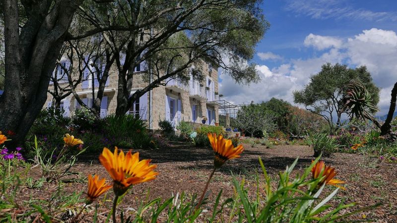 photo 13 Owner direct vacation rental Porto Pollo appartement Corsica Corse du Sud Garden