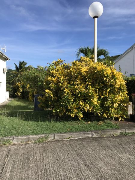 photo 11 Owner direct vacation rental Sainte Anne (Martinique) appartement   Outside view