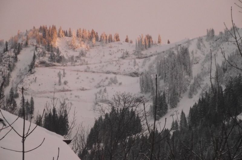 photo 2 Owner direct vacation rental Thollon Les Mmises appartement Rhone-Alps Haute-Savoie Balcony