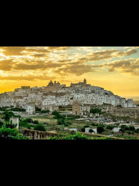 photo 25 Owner direct vacation rental Ostuni villa Puglia Brindisi Province Other view