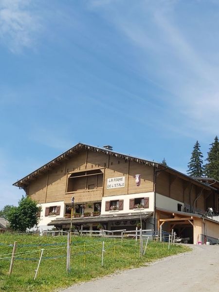 photo 19 Owner direct vacation rental Manigod-Croix Fry/L'tale-Merdassier appartement Rhone-Alps  Surroundings