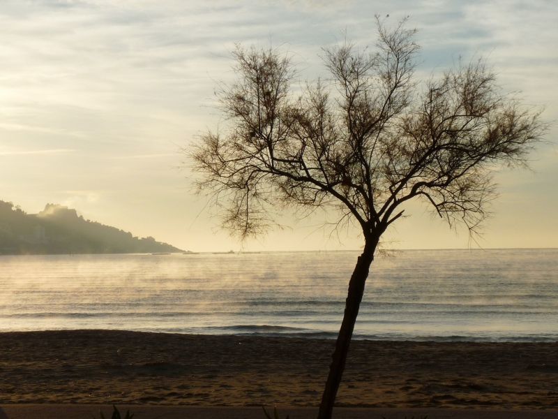 photo 19 Owner direct vacation rental Rosas appartement Catalonia Girona (province of) View from terrace