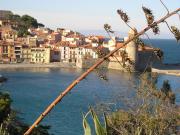 Collioure seaside holiday rentals: studio no. 82739