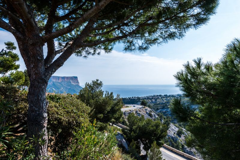 photo 18 Owner direct vacation rental Cassis villa Provence-Alpes-Cte d'Azur Bouches du Rhne Surroundings