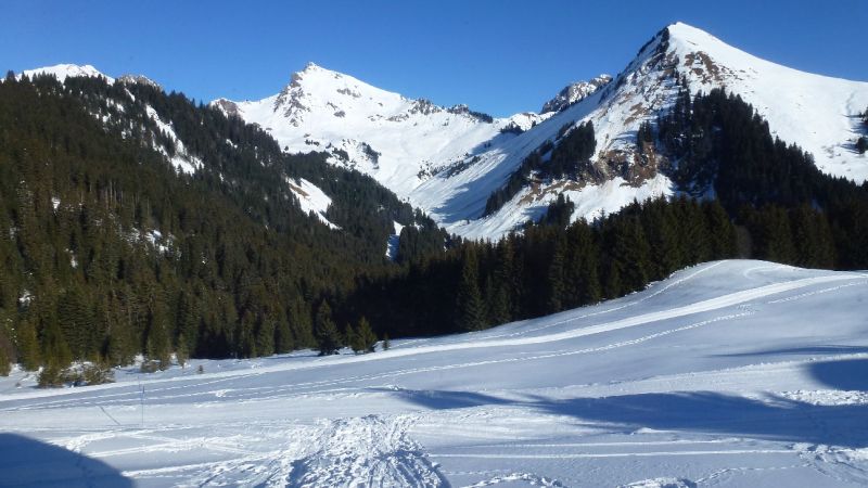 photo 16 Owner direct vacation rental Praz de Lys Sommand chalet Rhone-Alps Haute-Savoie View from the property