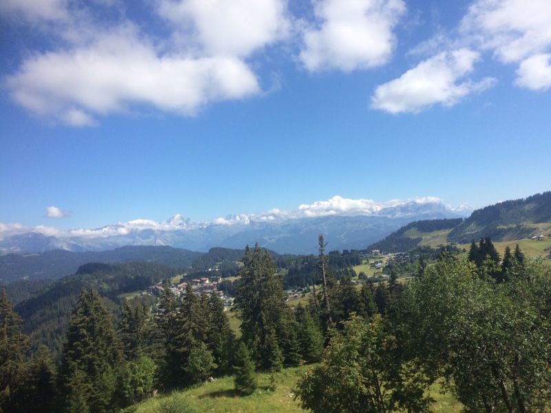 photo 27 Owner direct vacation rental Praz de Lys Sommand chalet Rhone-Alps Haute-Savoie Surroundings