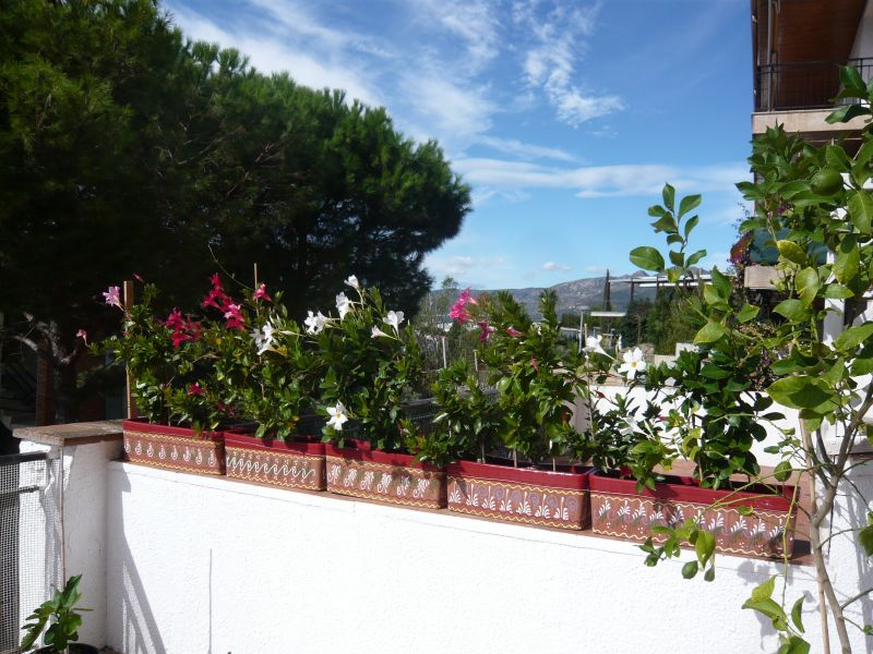 photo 5 Owner direct vacation rental Rosas appartement Catalonia Girona (province of) View from terrace