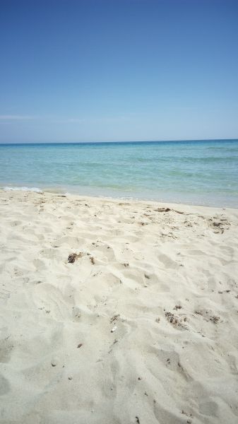 photo 4 Owner direct vacation rental Pescoluse appartement Puglia Lecce Province Beach