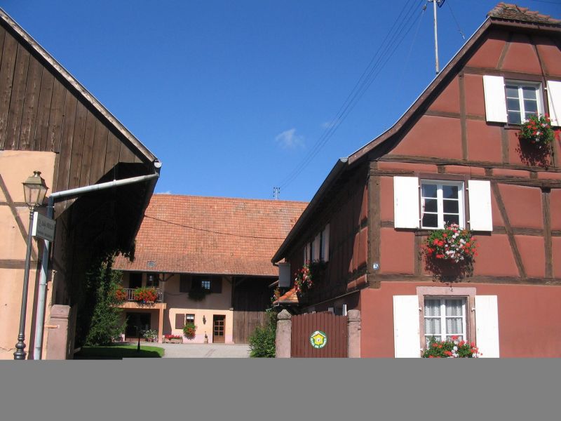 photo 22 Owner direct vacation rental Colmar gite Alsace Haut-Rhin Surroundings