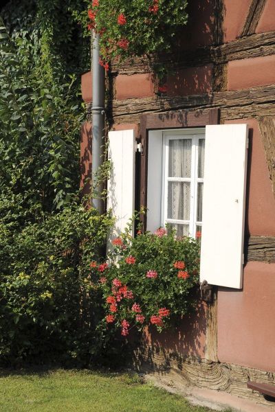 photo 25 Owner direct vacation rental Colmar gite Alsace Haut-Rhin Garden