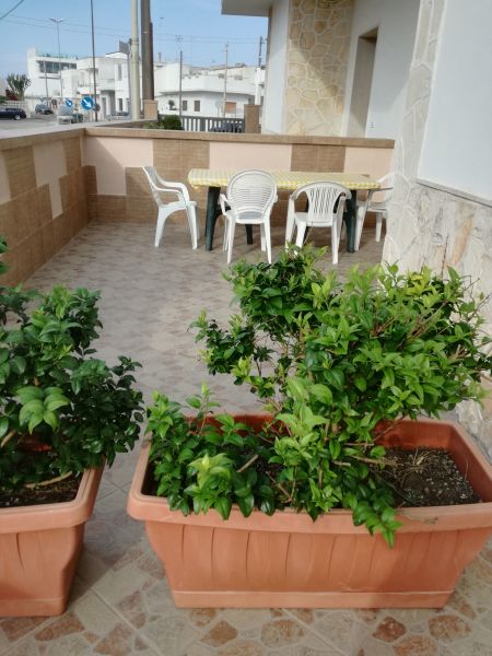 photo 4 Owner direct vacation rental San Foca appartement Puglia Lecce Province Garden
