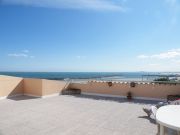 Sete holiday rentals for 3 people: appartement no. 118247
