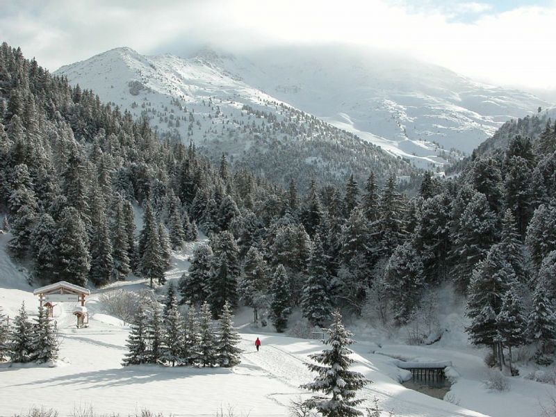 photo 13 Owner direct vacation rental Mribel appartement Rhone-Alps Savoie Surroundings