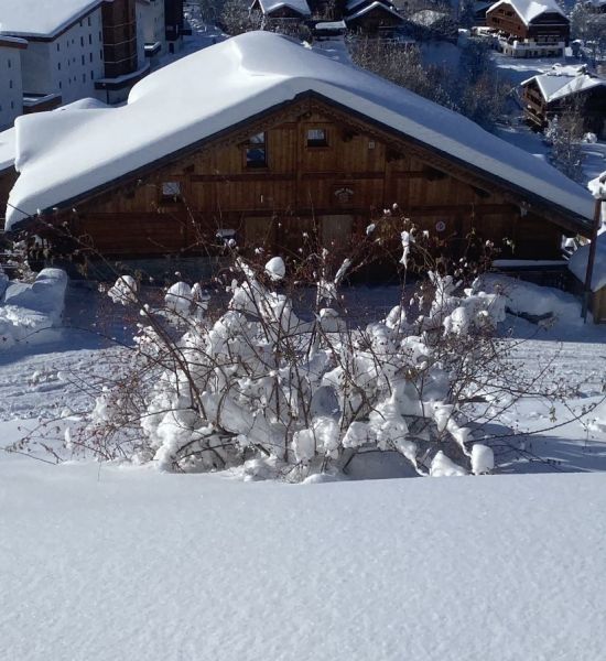 photo 2 Owner direct vacation rental Les 2 Alpes chalet Rhone-Alps Isre
