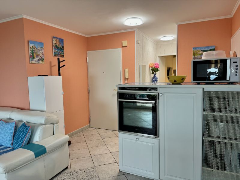 photo 4 Owner direct vacation rental Nice appartement Provence-Alpes-Cte d'Azur Alpes-Maritimes Hall