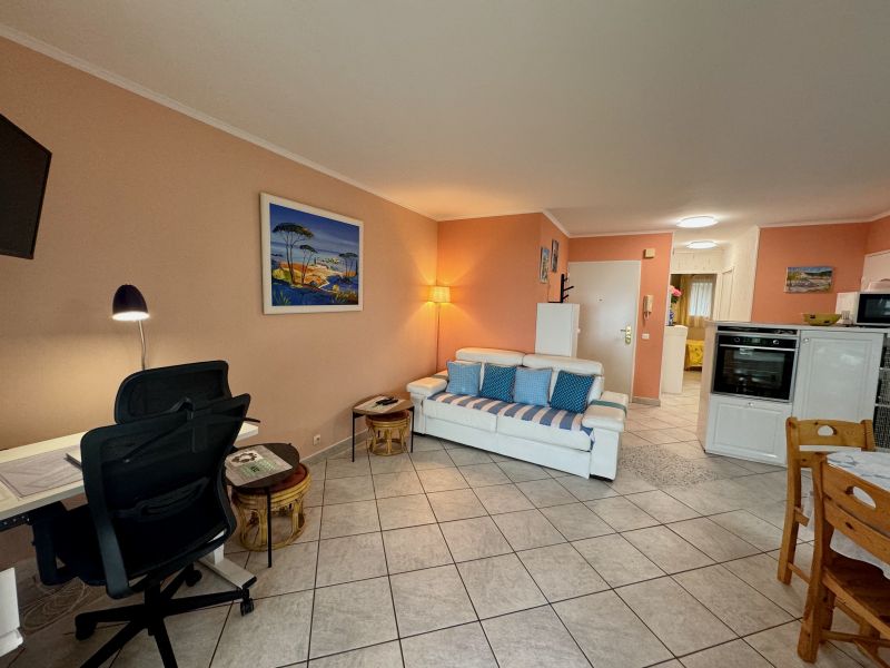 photo 8 Owner direct vacation rental Nice appartement Provence-Alpes-Cte d'Azur Alpes-Maritimes Living room