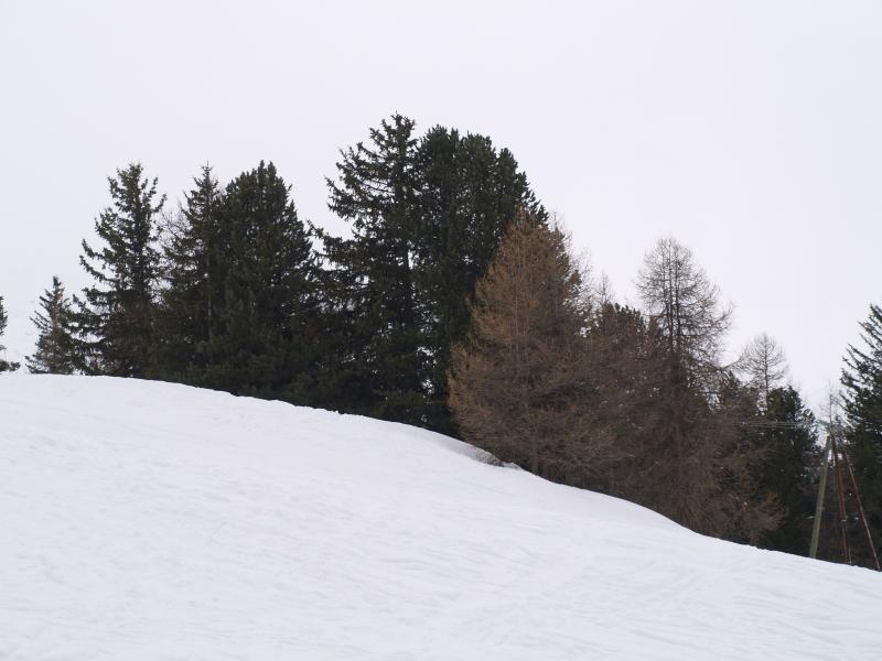 photo 8 Owner direct vacation rental La Plagne studio Rhone-Alps Savoie View from terrace