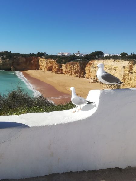 photo 7 Owner direct vacation rental Porches studio Algarve  Beach