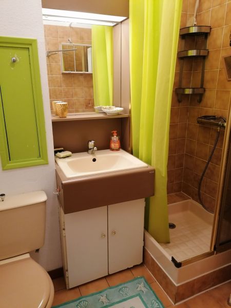 photo 14 Owner direct vacation rental Bormes Les Mimosas appartement Provence-Alpes-Cte d'Azur Var bathroom