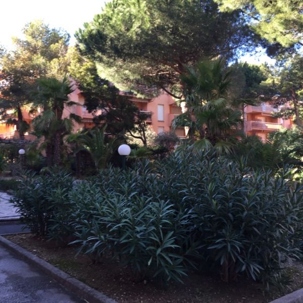 photo 15 Owner direct vacation rental Bormes Les Mimosas appartement Provence-Alpes-Cte d'Azur Var Garden